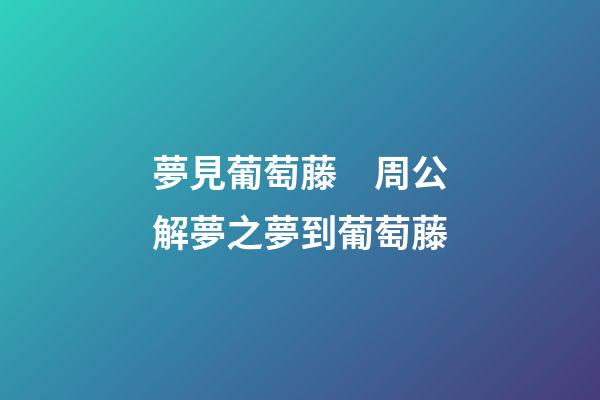 夢見葡萄藤　周公解夢之夢到葡萄藤